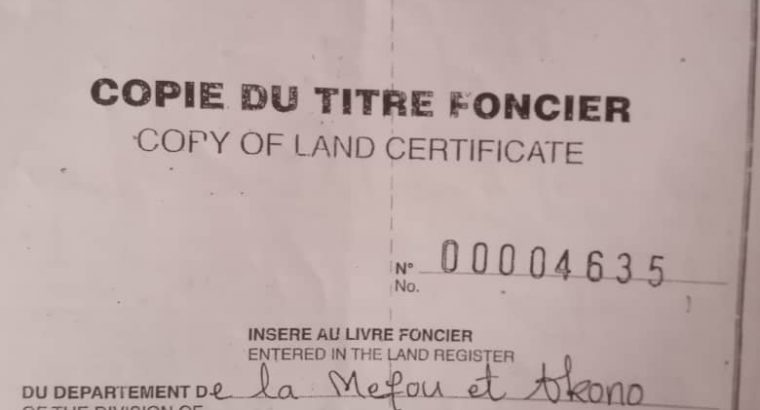 Y037MMT06 TERRAIN A VENDRE AU CAMEROUN /