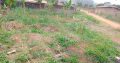 Y031NET16 OFFRE: TERRAIN À VENDRE YAOUNDE/CAMER