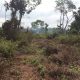 YML1248 TERRAIN À VENDRE SUR CIMENCAM YAOUNDE