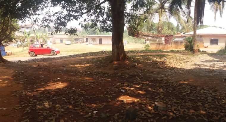 YML1248 TERRAIN À VENDRE EN FACE NOSA BARRIERE AH