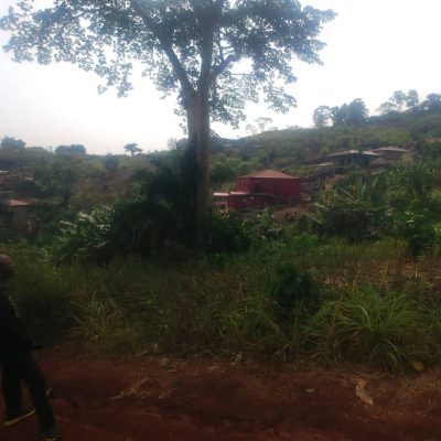 terrain a vendre sur kribi