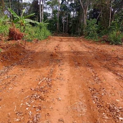 23 hectares à mbankomo à vendre au niveau de la caf à 3km du goudron bordure de route secondaire titre 800 frcs m2