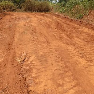terrain Mfou derrière la scierie au lieu dit Endoum situé à 6km du goudron 1500m² a 2500 fr le m2