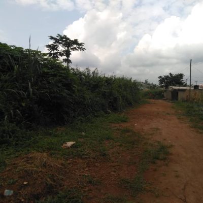 TERRAIN A DRAGAGE